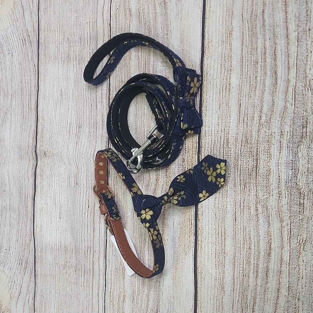 Dog Collar with Matching leash